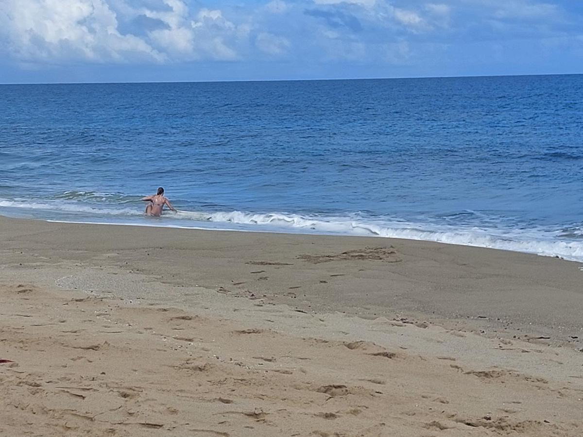 Cabarete Maravilla Eco Lodge Boutique Beach Surf Encuentro, Kite, By Aa Crypto Group Ngoại thất bức ảnh