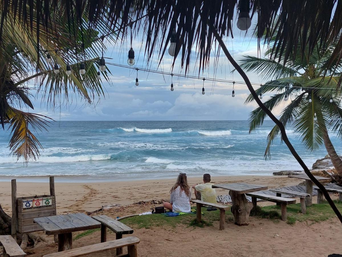 Cabarete Maravilla Eco Lodge Boutique Beach Surf Encuentro, Kite, By Aa Crypto Group Ngoại thất bức ảnh