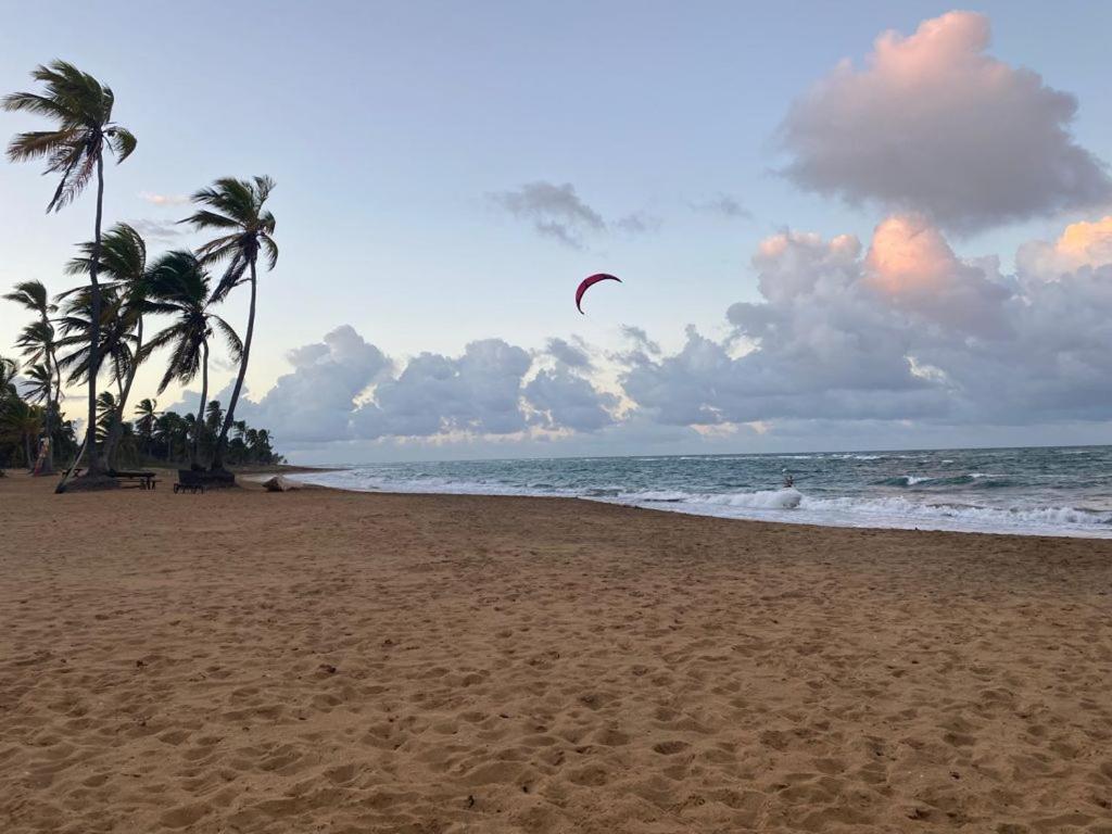 Cabarete Maravilla Eco Lodge Boutique Beach Surf Encuentro, Kite, By Aa Crypto Group Ngoại thất bức ảnh