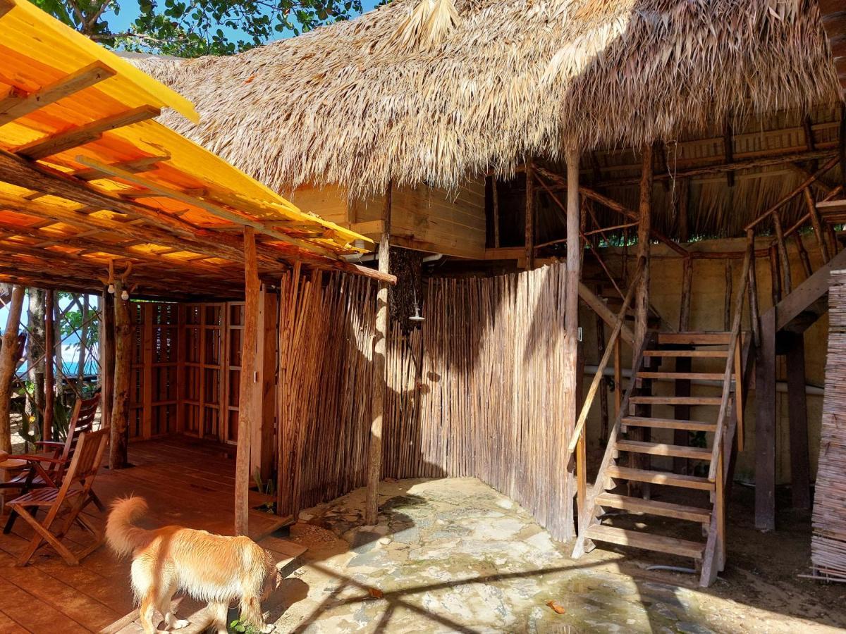 Cabarete Maravilla Eco Lodge Boutique Beach Surf Encuentro, Kite, By Aa Crypto Group Ngoại thất bức ảnh