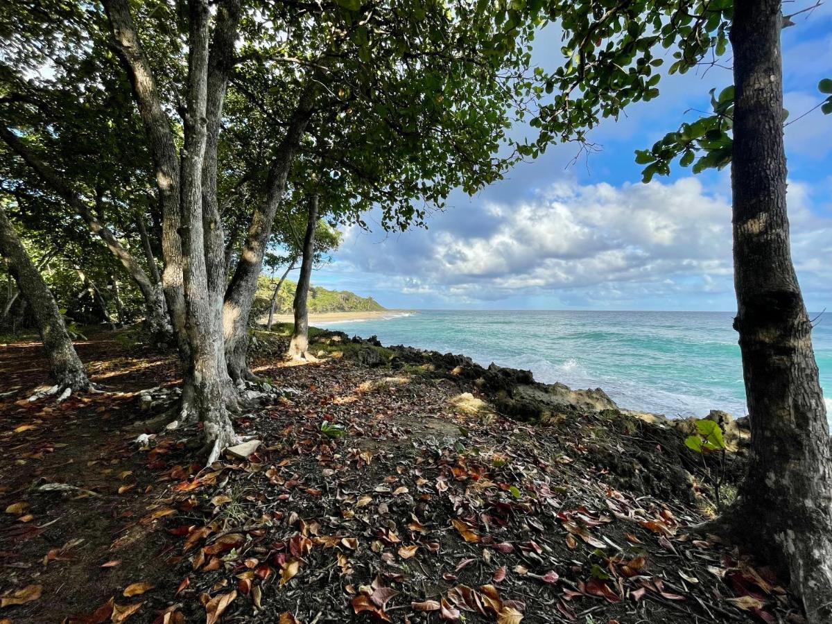 Cabarete Maravilla Eco Lodge Boutique Beach Surf Encuentro, Kite, By Aa Crypto Group Ngoại thất bức ảnh
