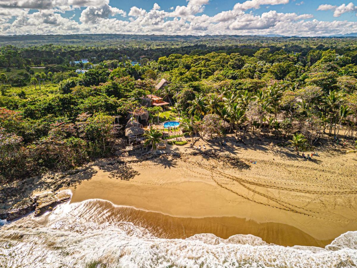 Cabarete Maravilla Eco Lodge Boutique Beach Surf Encuentro, Kite, By Aa Crypto Group Ngoại thất bức ảnh