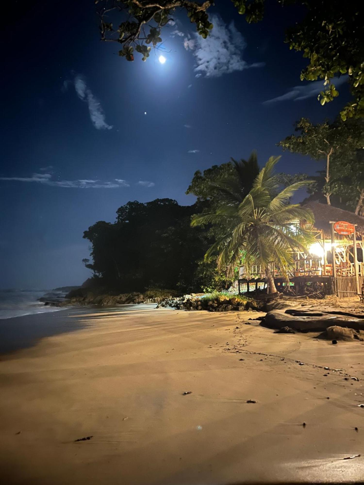 Cabarete Maravilla Eco Lodge Boutique Beach Surf Encuentro, Kite, By Aa Crypto Group Ngoại thất bức ảnh