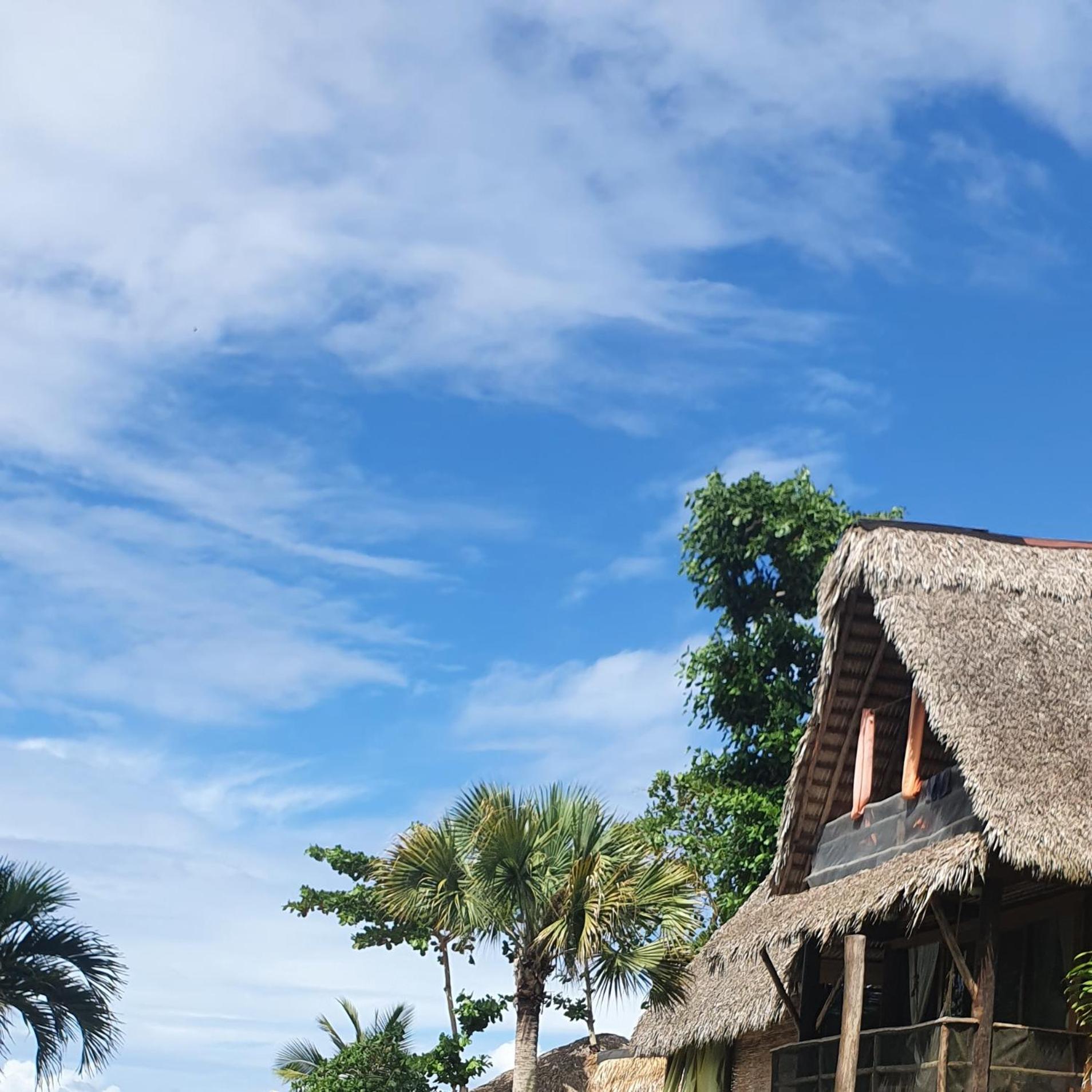 Cabarete Maravilla Eco Lodge Boutique Beach Surf Encuentro, Kite, By Aa Crypto Group Phòng bức ảnh