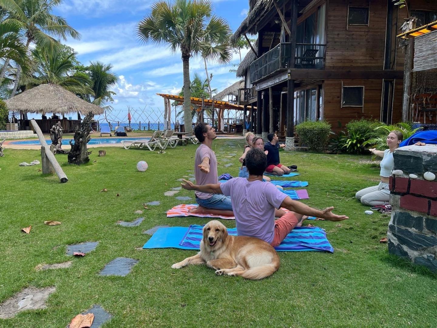Cabarete Maravilla Eco Lodge Boutique Beach Surf Encuentro, Kite, By Aa Crypto Group Ngoại thất bức ảnh